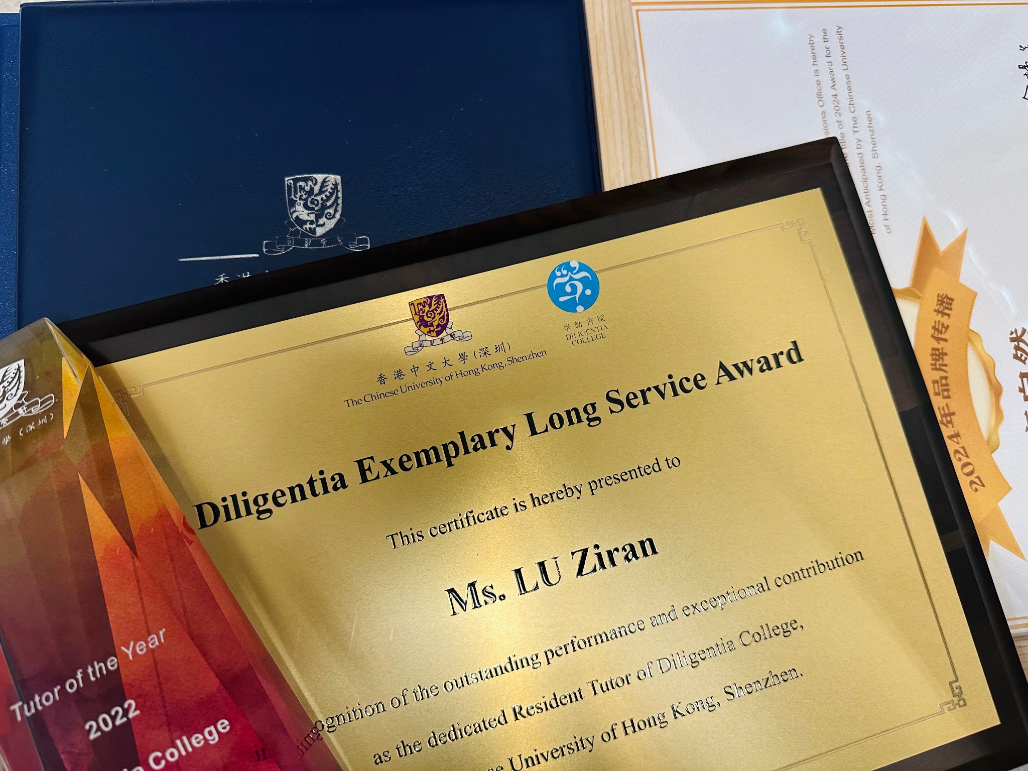 Diligentia Exemplary Long Service Award certificate